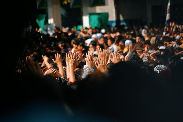 Panneau solaire photovoltaïque : vers une maison éco-responsable