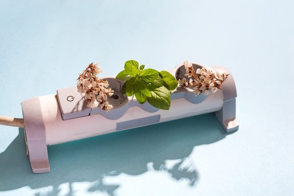 Innovations écologiques : transformez votre habitat demain